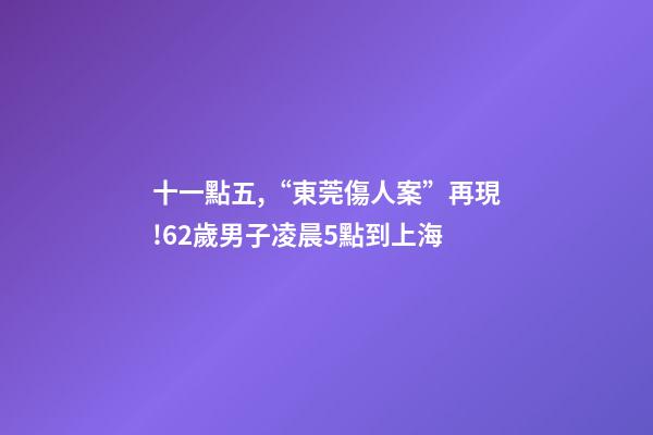 十一點五,“東莞傷人案”再現!62歲男子凌晨5點到上海-第1張-觀點-玄機派