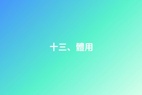 十三、體用