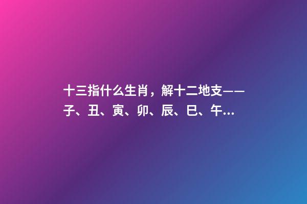 十三指什么生肖，解十二地支——子、丑、寅、卯、辰、巳、午、未、申、酉、戌、亥-第1張-觀點-玄機派