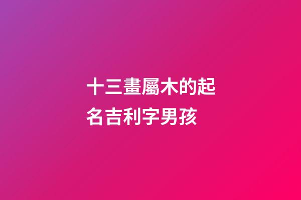 十三畫屬木的起名吉利字男孩(13畫屬木的字有哪些取名男)-第1張-男孩起名-玄機派