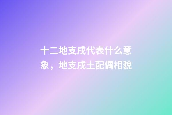 十二地支戌代表什么意象，地支戌土配偶相貌