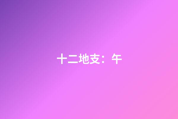 十二地支：午