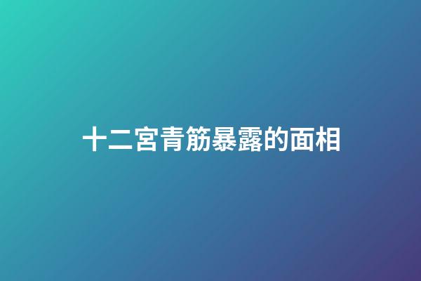 十二宮青筋暴露的面相