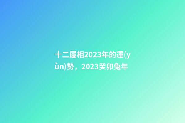 十二屬相2023年的運(yùn)勢，2023癸卯兔年-第1張-觀點(diǎn)-玄機(jī)派