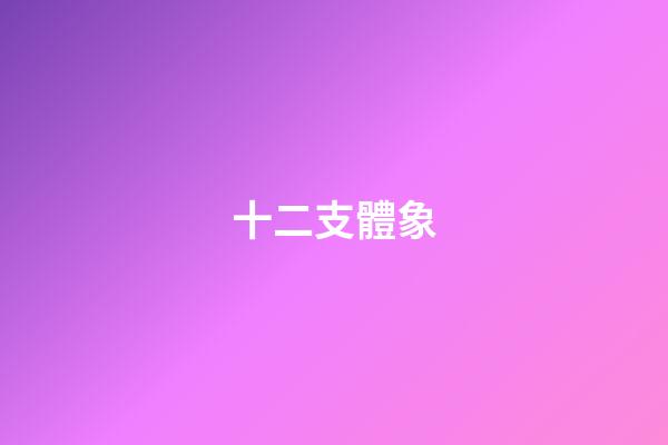 十二支體象