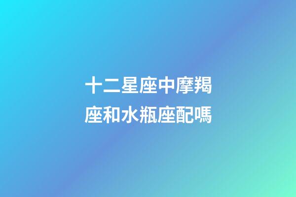十二星座中摩羯座和水瓶座配嗎-第1張-星座運勢-玄機派