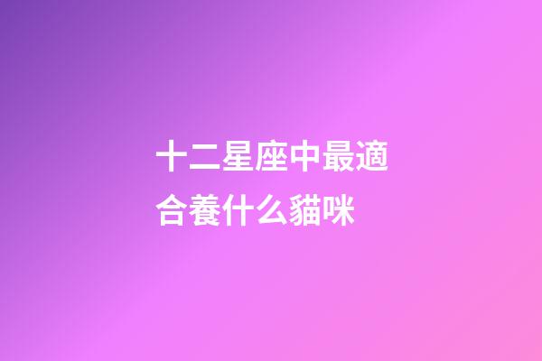十二星座中最適合養什么貓咪-第1張-星座運勢-玄機派