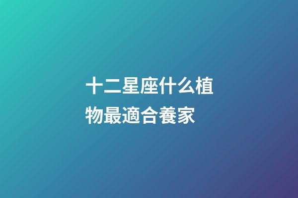 十二星座什么植物最適合養家-第1張-星座運勢-玄機派