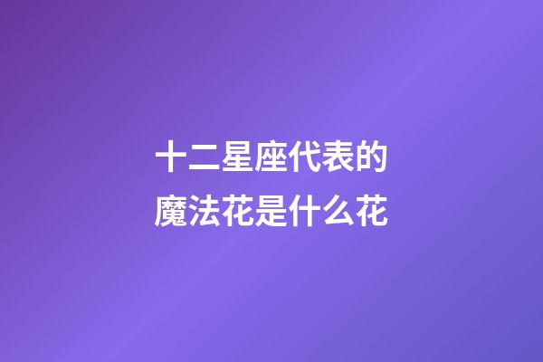 十二星座代表的魔法花是什么花-第1張-星座運勢-玄機派