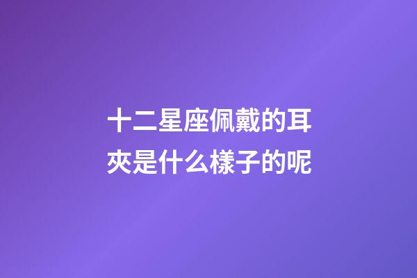 十二星座佩戴的耳夾是什么樣子的呢-第1張-星座運勢-玄機派