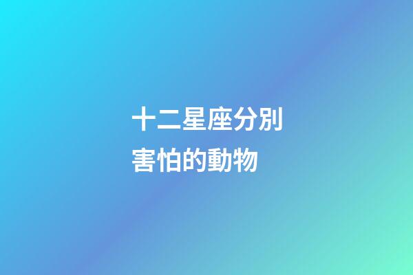 十二星座分別害怕的動物-第1張-星座運勢-玄機派