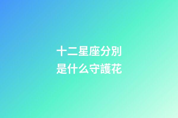 十二星座分別是什么守護花-第1張-星座運勢-玄機派