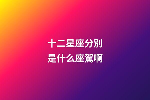 十二星座分別是什么座駕啊-第1張-星座運勢-玄機派