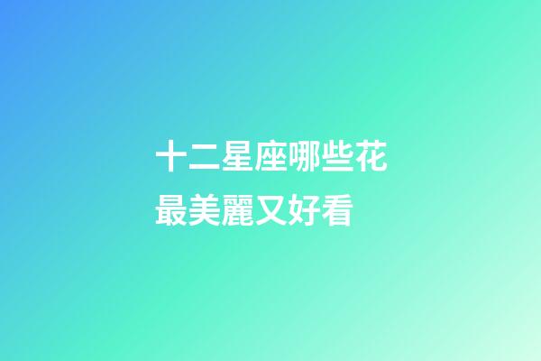 十二星座哪些花最美麗又好看-第1張-星座運(yùn)勢-玄機(jī)派