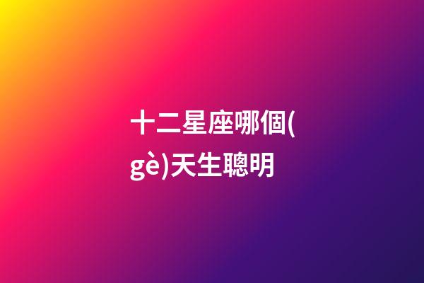 十二星座哪個(gè)天生聰明-第1張-星座運(yùn)勢-玄機(jī)派