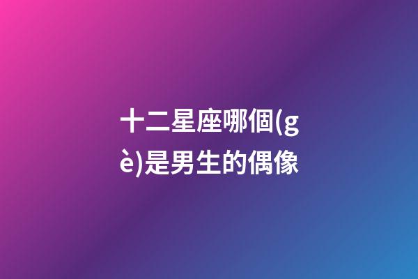 十二星座哪個(gè)是男生的偶像-第1張-星座運(yùn)勢(shì)-玄機(jī)派
