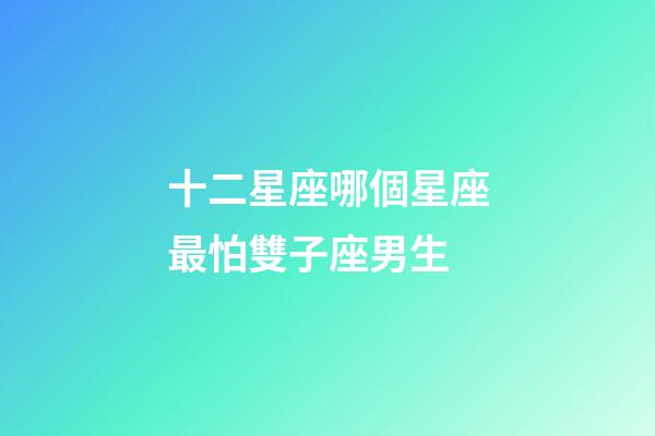 十二星座哪個星座最怕雙子座男生-第1張-星座運勢-玄機派