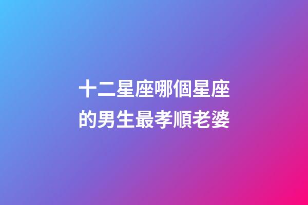十二星座哪個星座的男生最孝順老婆-第1張-星座運勢-玄機派