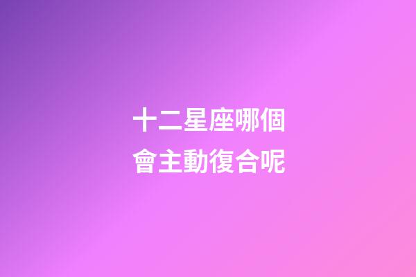十二星座哪個會主動復合呢-第1張-星座運勢-玄機派