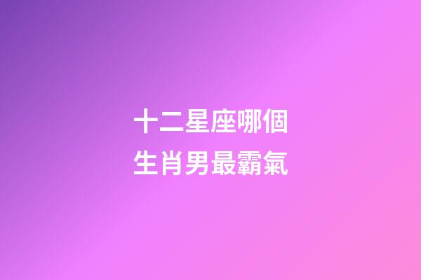 十二星座哪個生肖男最霸氣-第1張-星座運勢-玄機派