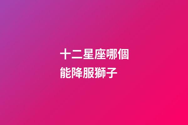 十二星座哪個能降服獅子-第1張-星座運勢-玄機派