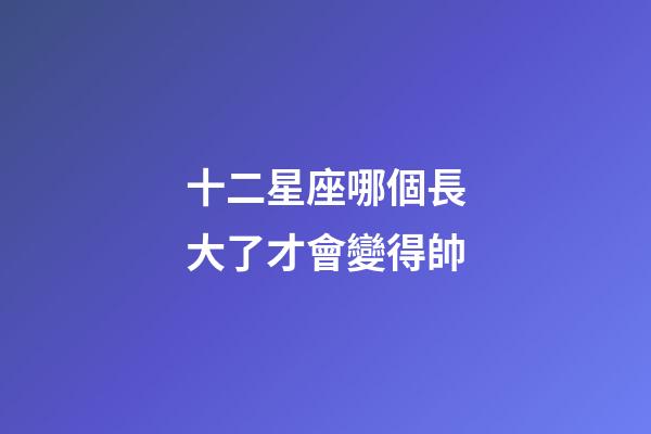 十二星座哪個長大了才會變得帥-第1張-星座運勢-玄機派