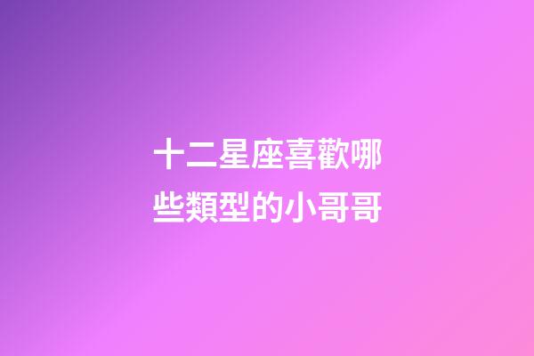 十二星座喜歡哪些類型的小哥哥-第1張-星座運勢-玄機派