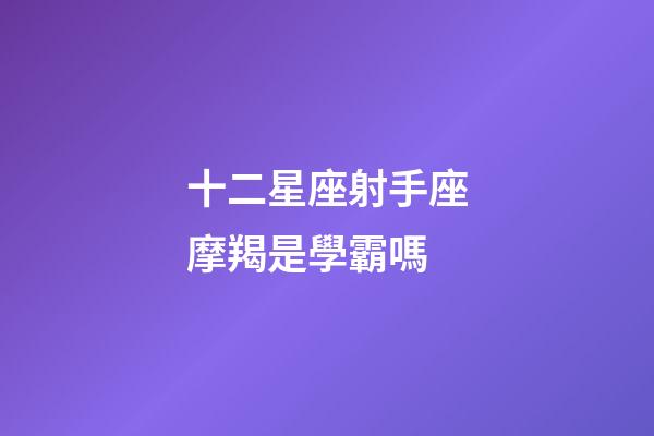 十二星座射手座摩羯是學霸嗎-第1張-星座運勢-玄機派