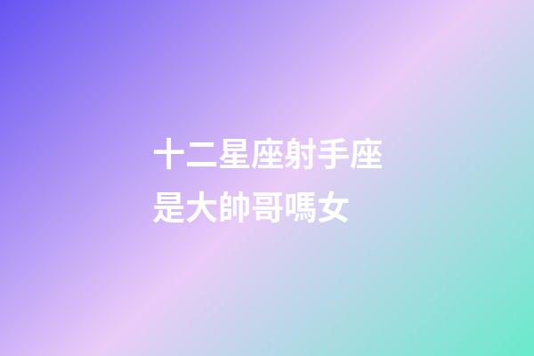 十二星座射手座是大帥哥嗎女-第1張-星座運勢-玄機派