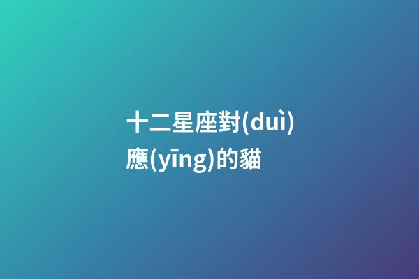 十二星座對(duì)應(yīng)的貓