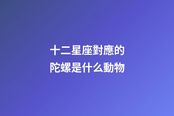 十二星座對應的陀螺是什么動物