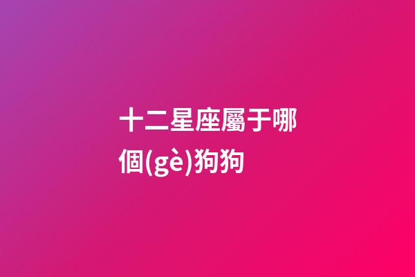 十二星座屬于哪個(gè)狗狗-第1張-星座運(yùn)勢(shì)-玄機(jī)派