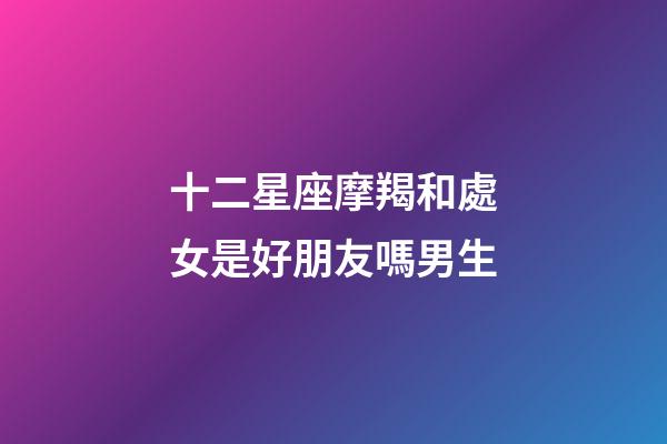 十二星座摩羯和處女是好朋友嗎男生-第1張-星座運勢-玄機派