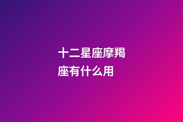 十二星座摩羯座有什么用-第1張-星座運勢-玄機派