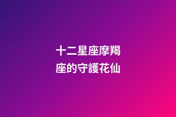 十二星座摩羯座的守護花仙-第1張-星座運勢-玄機派