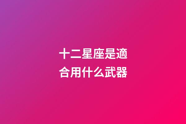 十二星座是適合用什么武器-第1張-星座運勢-玄機派