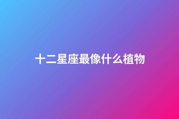 十二星座最像什么植物-第1張-星座運(yùn)勢(shì)-玄機(jī)派