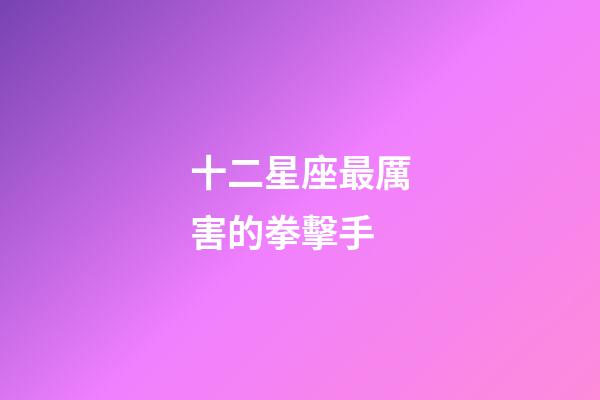 十二星座最厲害的拳擊手