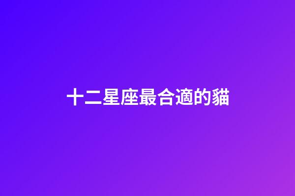 十二星座最合適的貓-第1張-星座運勢-玄機派