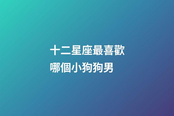 十二星座最喜歡哪個小狗狗男-第1張-星座運勢-玄機派
