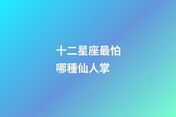 十二星座最怕哪種仙人掌-第1張-星座運(yùn)勢-玄機(jī)派
