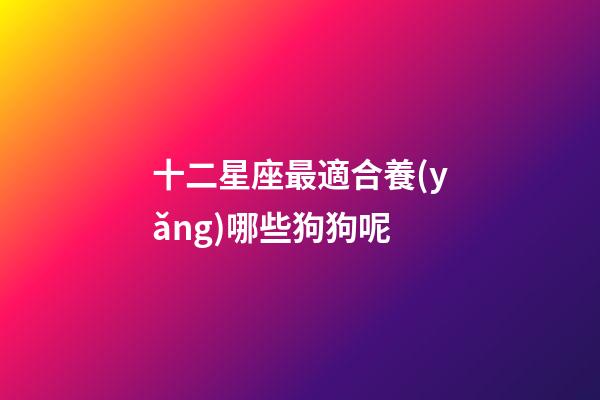 十二星座最適合養(yǎng)哪些狗狗呢-第1張-星座運(yùn)勢(shì)-玄機(jī)派