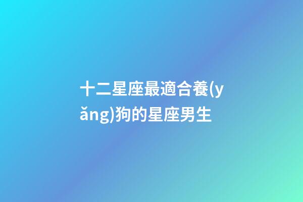 十二星座最適合養(yǎng)狗的星座男生