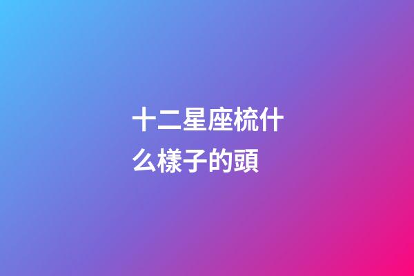 十二星座梳什么樣子的頭-第1張-星座運勢-玄機派