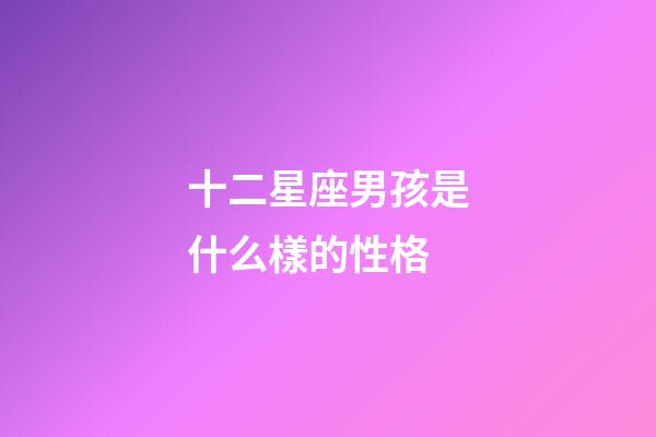 十二星座男孩是什么樣的性格-第1張-星座運勢-玄機派