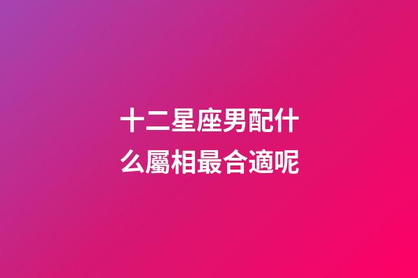 十二星座男配什么屬相最合適呢-第1張-星座運勢-玄機派