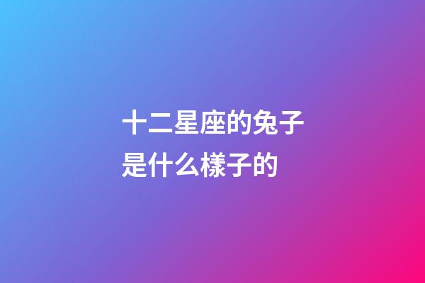 十二星座的兔子是什么樣子的-第1張-星座運勢-玄機派