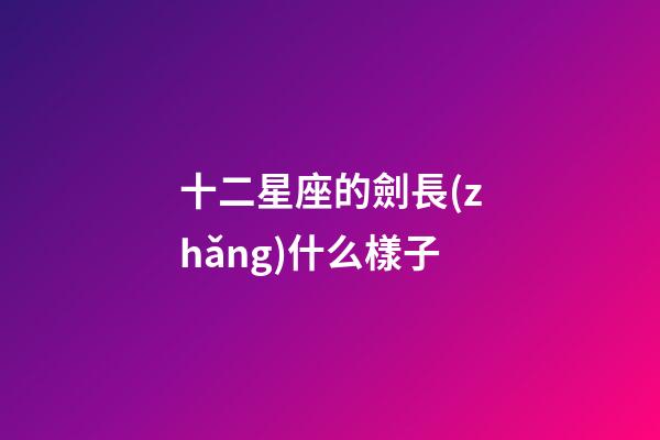 十二星座的劍長(zhǎng)什么樣子-第1張-星座運(yùn)勢(shì)-玄機(jī)派