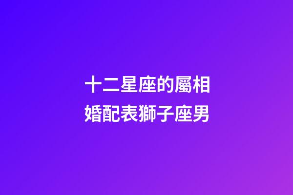 十二星座的屬相婚配表獅子座男-第1張-星座運勢-玄機派