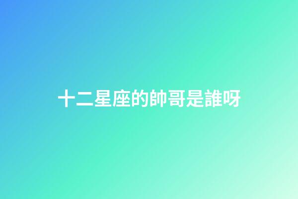 十二星座的帥哥是誰呀-第1張-星座運勢-玄機派